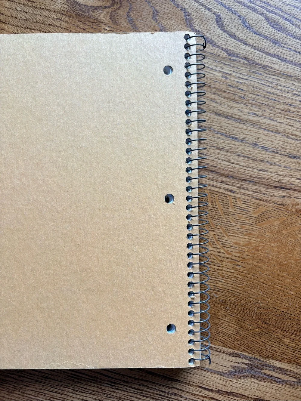 Vintage Princeton Spiral College- Ruled 3 Subject Notebook in Orange- Top Flight